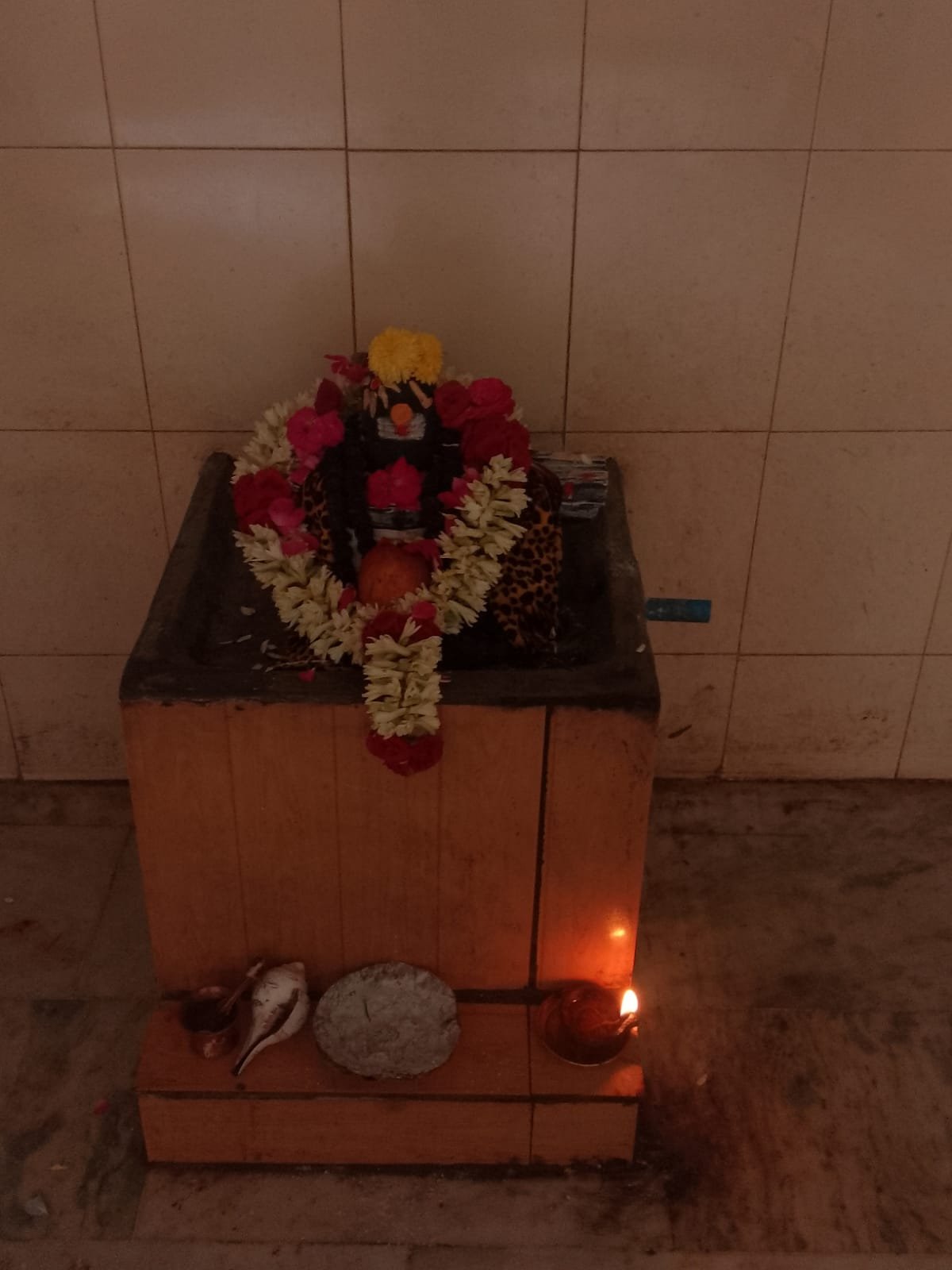 WhatsApp Image 2026-03-27 at 19.10.16